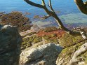 2015-09-28 10-34-32 St Gildas-Chemin des douaniers MBo